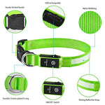 Collier Lumineux pour Chien - Vert, Rechargeable et Étanche, Taille S