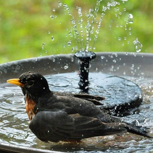 Fontaine solaire extérieur : zen, cascade, oiseaux